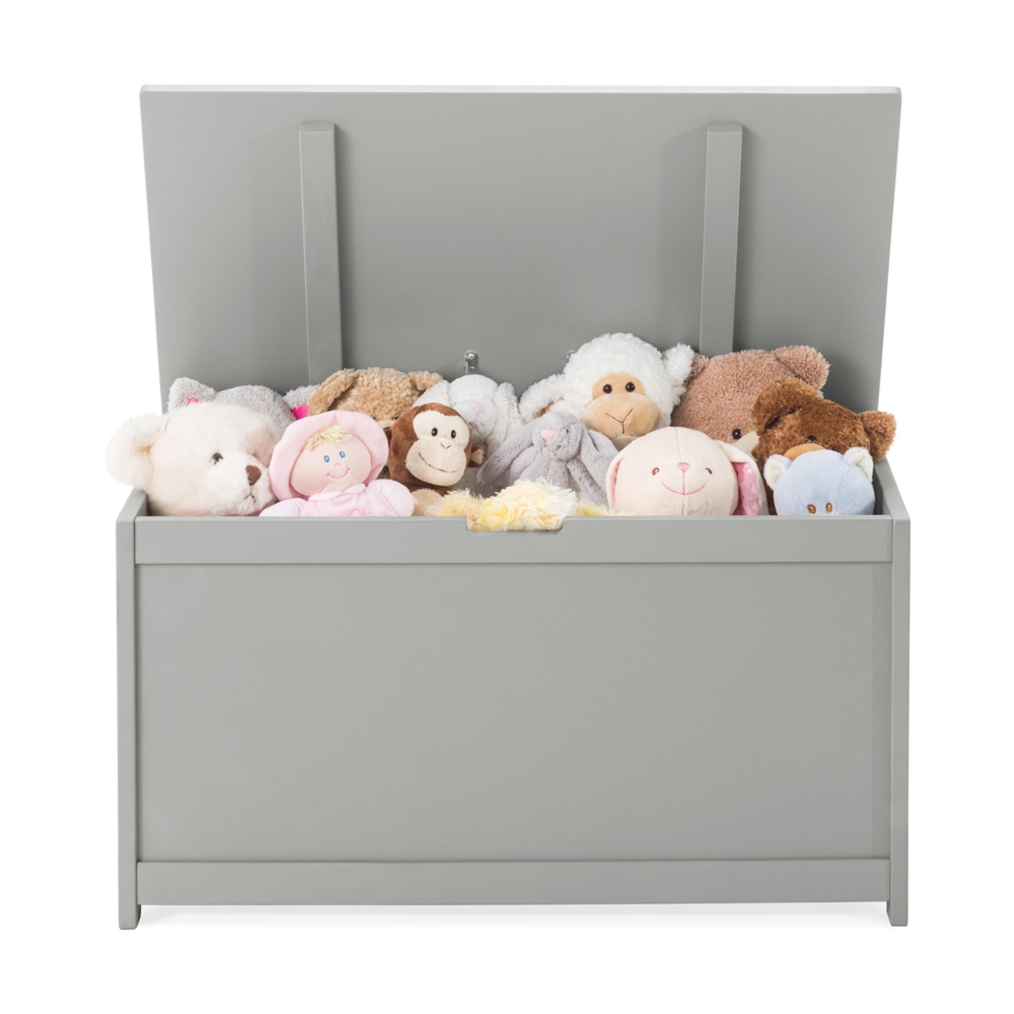 forever eclectic harmony toy chest